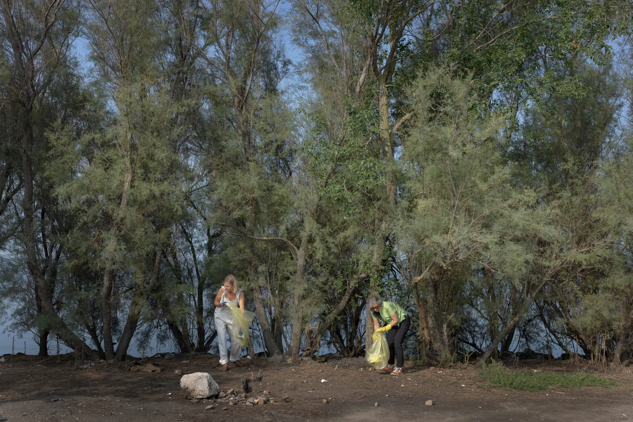 Острів Повелья у Венеції: громада перетворює покинуту землю на оазу для місцевих